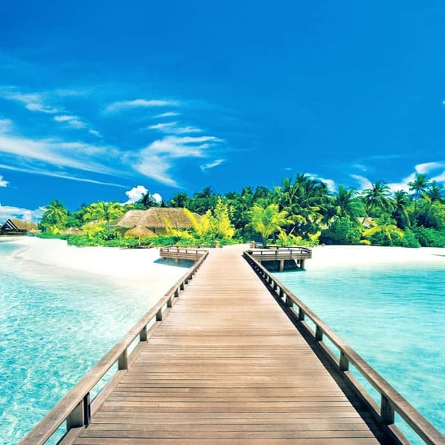 Vacation Ready Bundle at MCS Sugaring Studio in Angola, IN